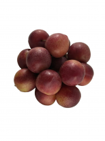 Слива Чилийская